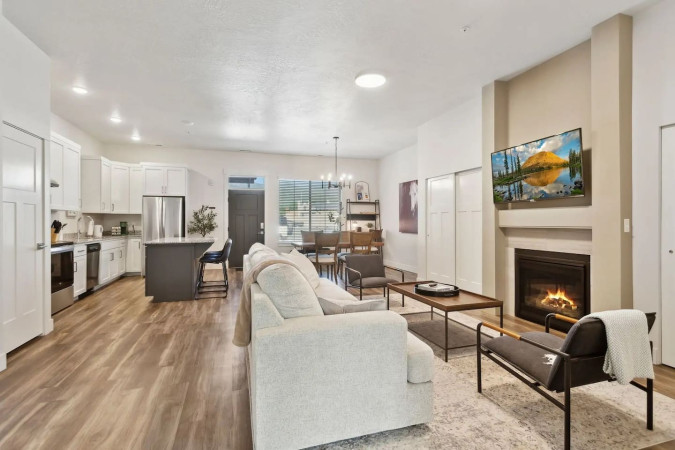 Living room and fireplace